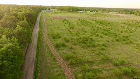 Lot 7 CR 4230 Pittsburg TX 75686