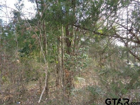 TBD CR 4870 Winnsboro TX 75494