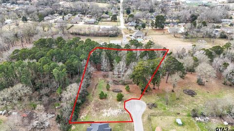 TBD Castleberry RD (Lot 2) Brownsboro TX 75756