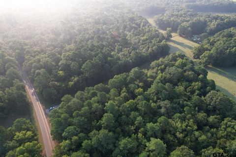 TBD US Hwy 84 Mt Enterprise TX 75681