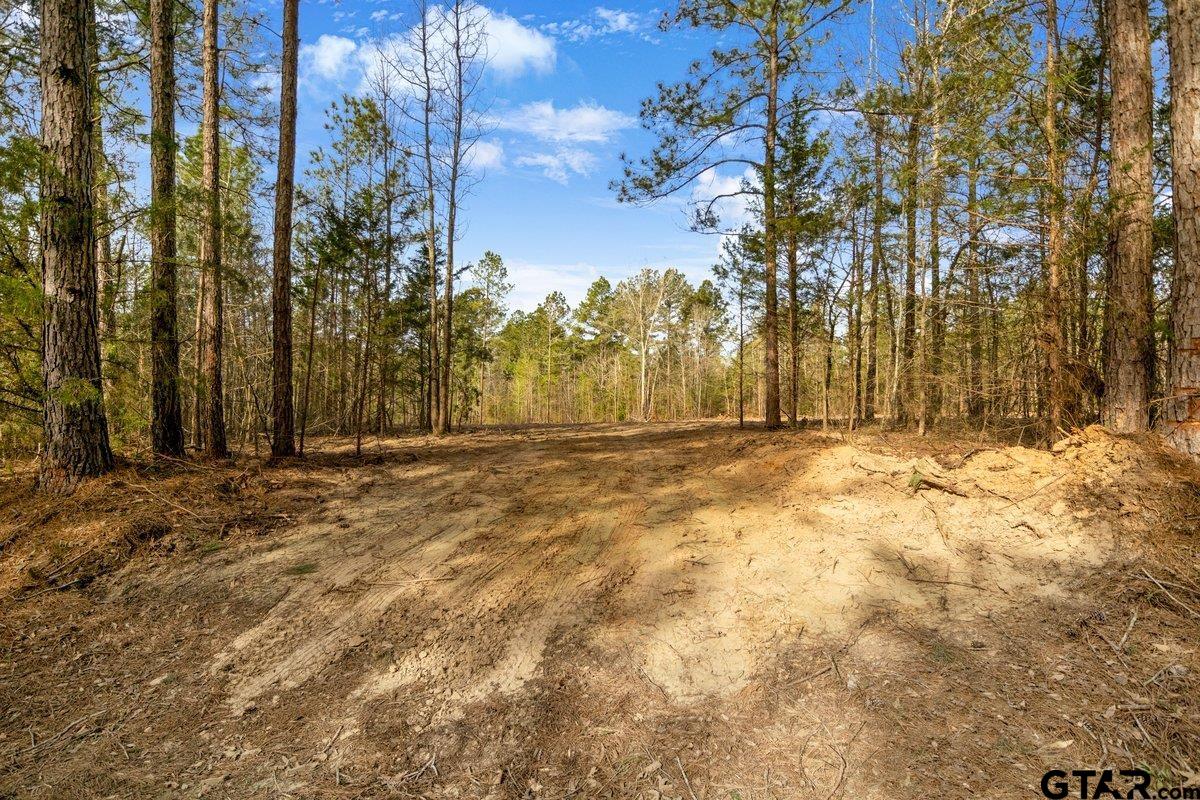 Troup, Texas 75789, United States, ,Land,Active,176871