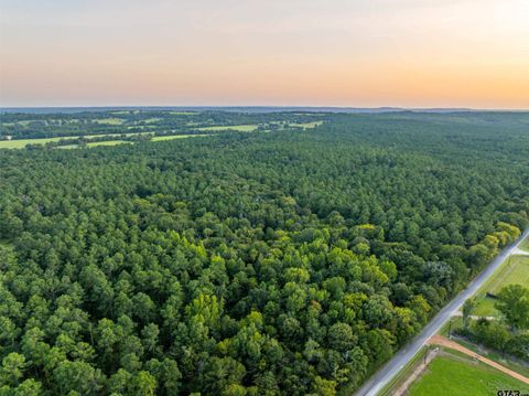 Tract 10 CR 4222 Frankston TX 75763