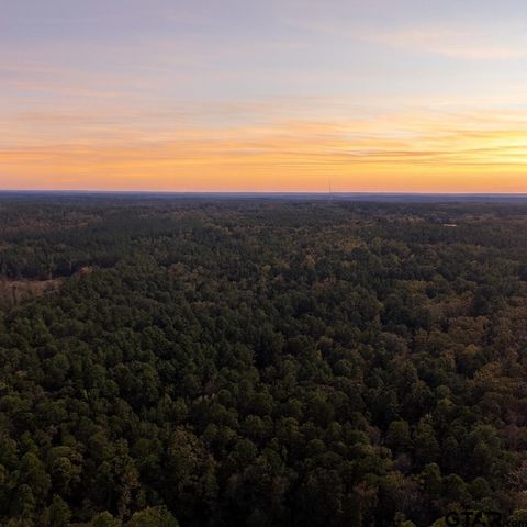 TBD County Road 3953 Hawkins TX 75765