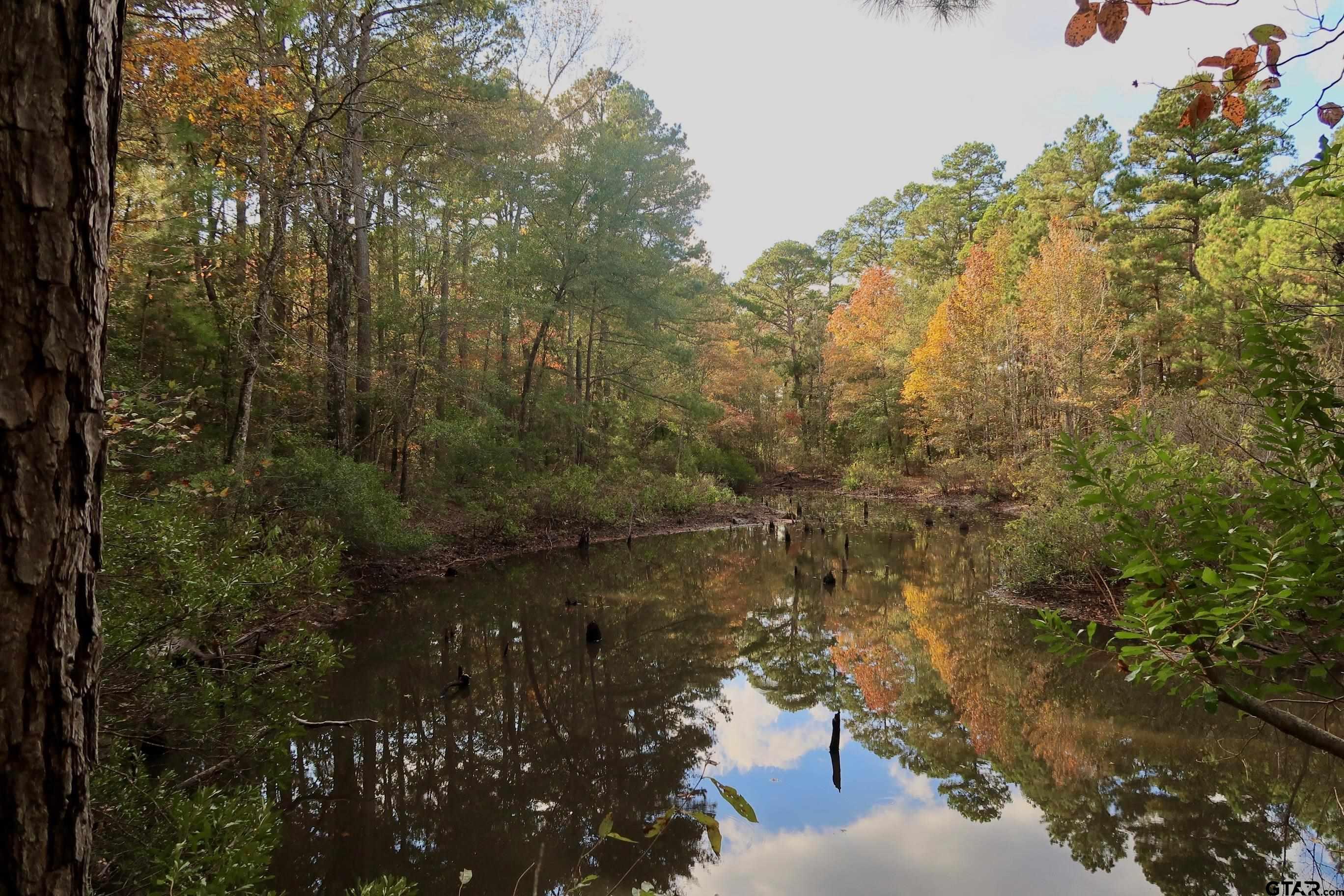 603 County Road 3953