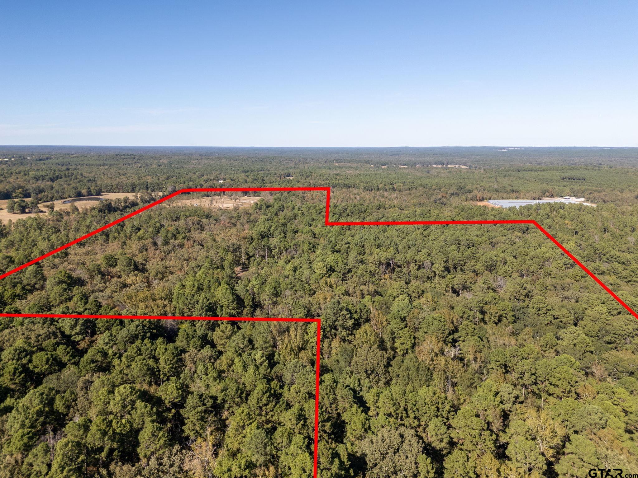 603 County Road 3953