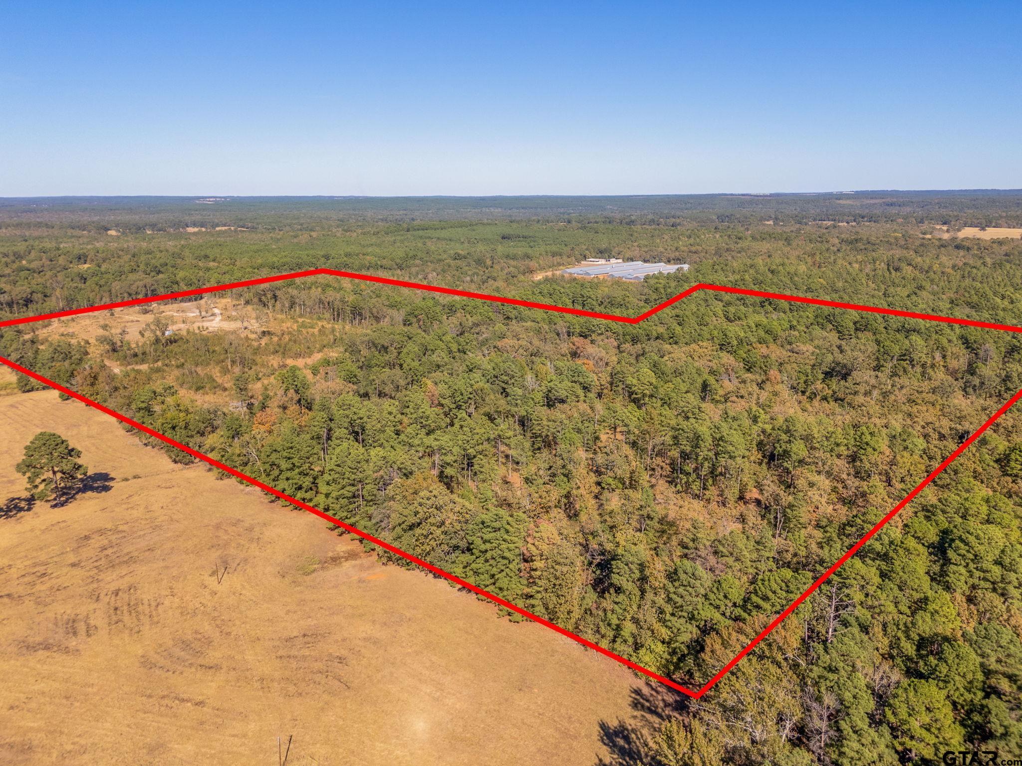 603 County Road 3953