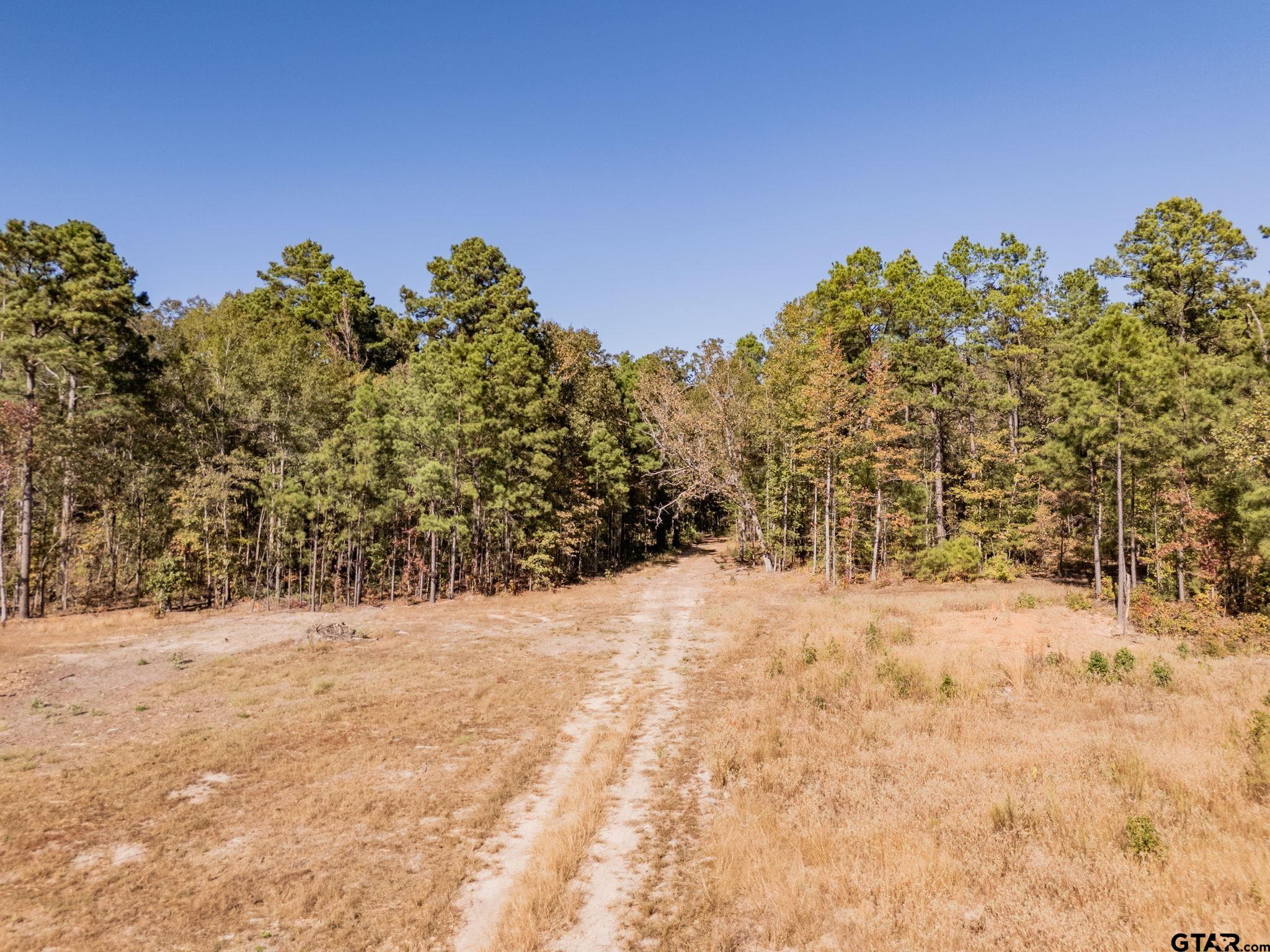 TBD County Road 3953