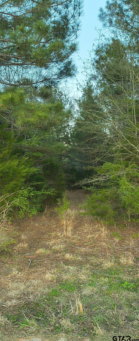 10834 County Road 4162 Tyler TX 75704