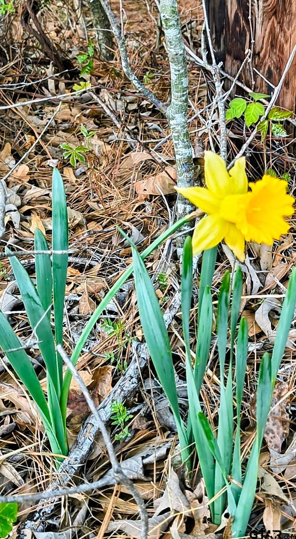 10834 County Road 4162