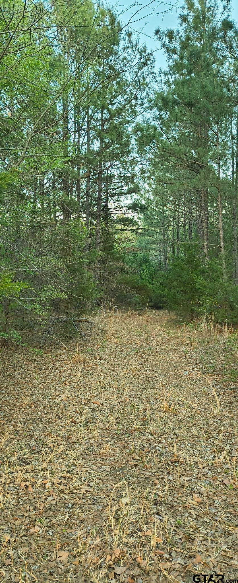 10834 County Road 4162