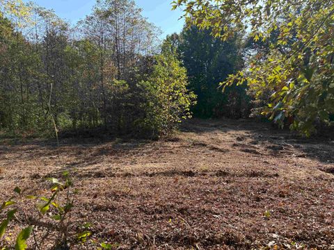 TBD FM 607 Brownsboro TX 75756