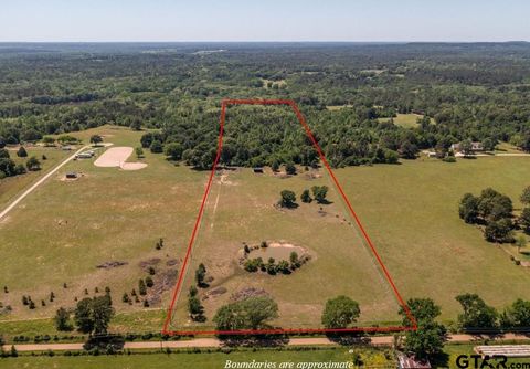 1140 Lot 2 CR-3412 Chandler TX 75758