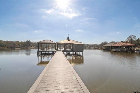 14131 Peninsula Whitehouse TX 75791