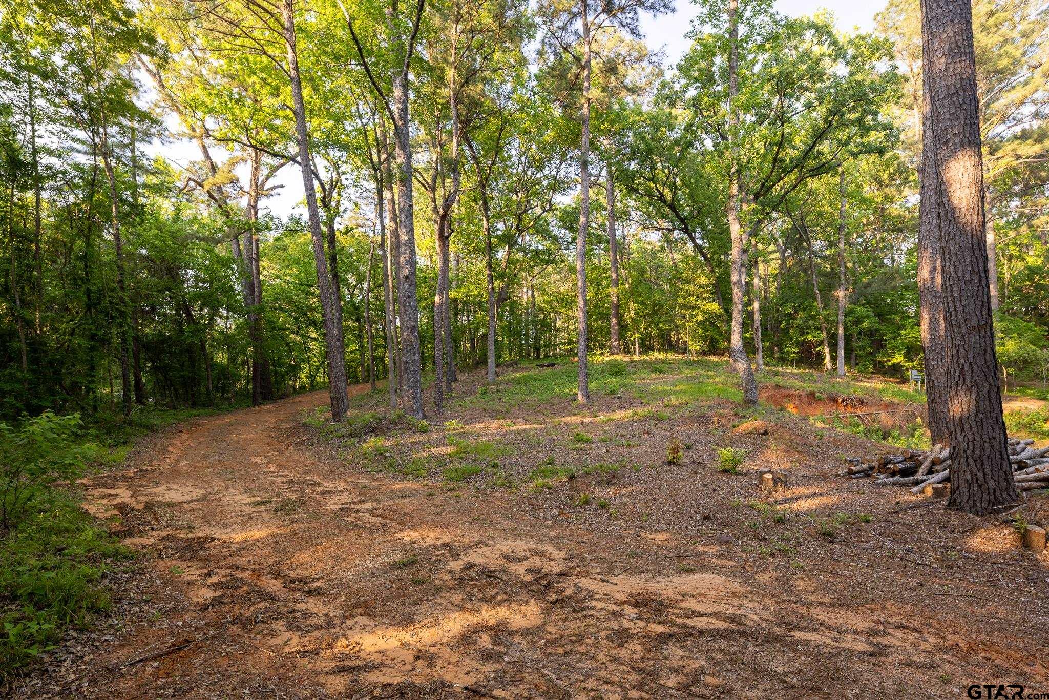 14221 Pine Overlook Dr