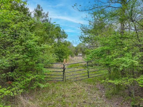 TBD County Road 3105 Chandler TX 75758