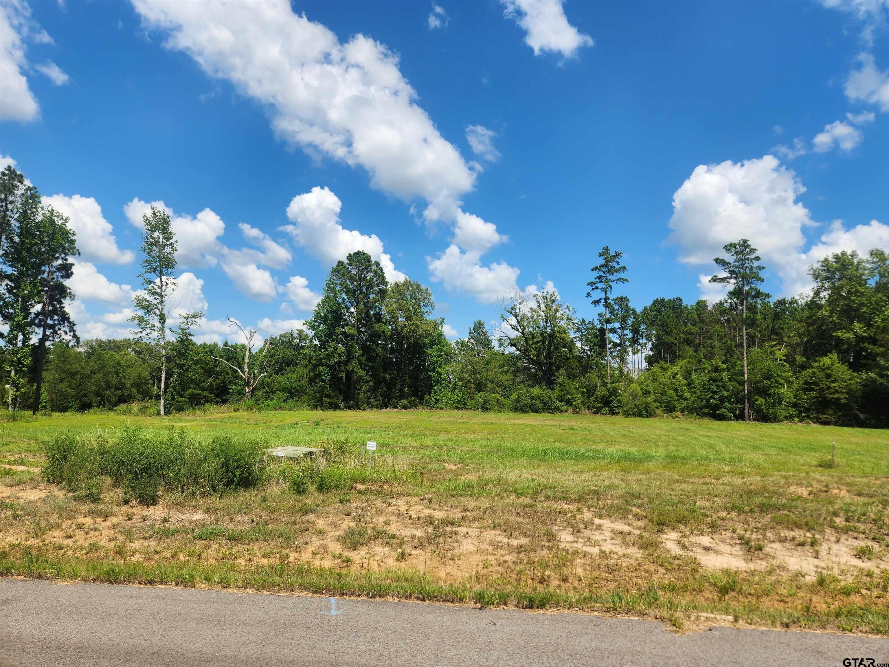20035 Dews Ct Lot 4