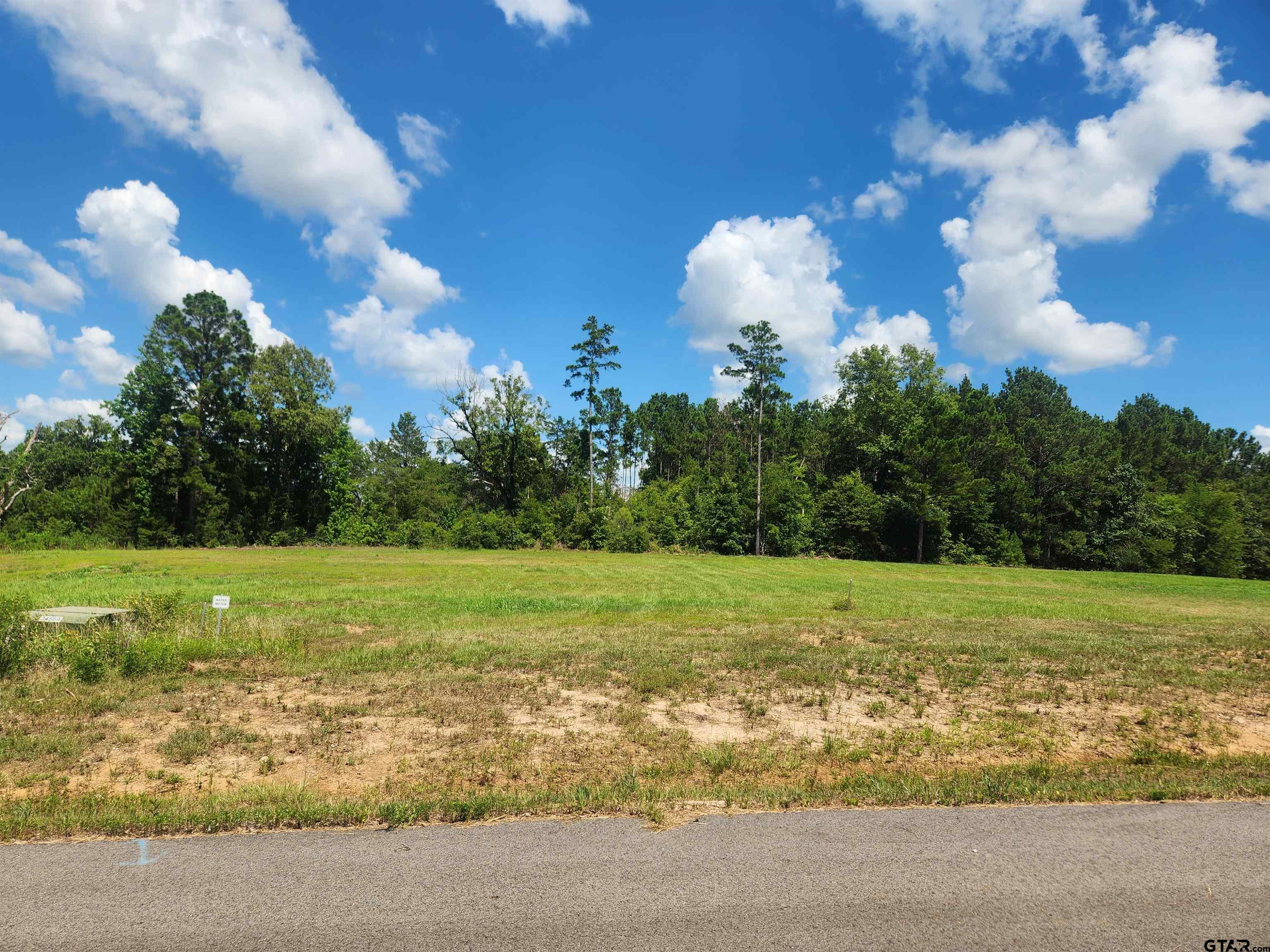 20035 Dews Ct Lot 4