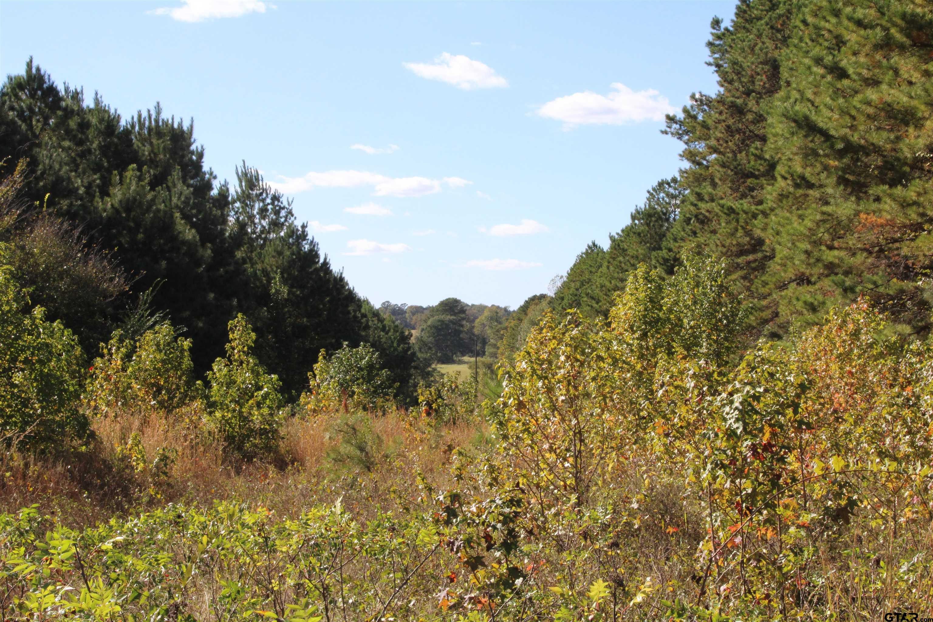 TBD CR 1508 - 37.4 acres