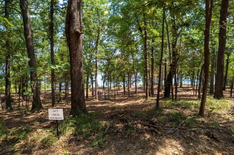 Lot 5 Big Oaks Leesburg TX 75451
