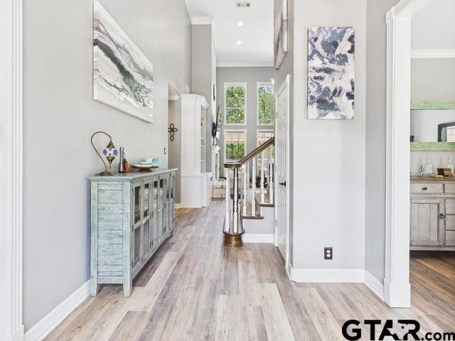 1101 Bunny Rabbit Rd