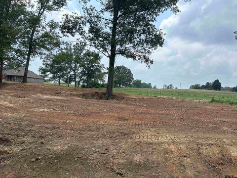 3.35 ACRES tbd COUNTY ROAD 2169 Troup TX 75789