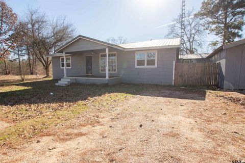 1890 Boon Dock Rd Avinger TX 75630