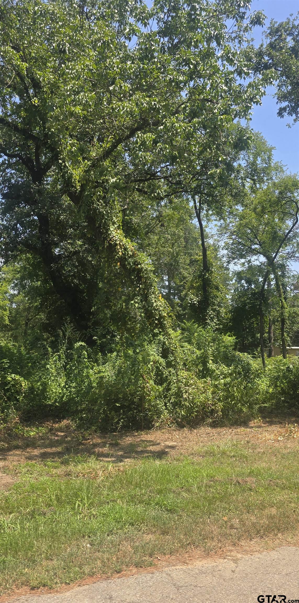 TBD Lot 2 Brierwood Drive