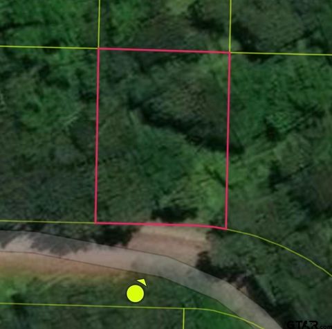 573 Janis Dr. Bullard TX 75757