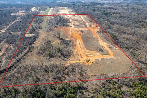 0 Back Forty Whitehouse TX 75791