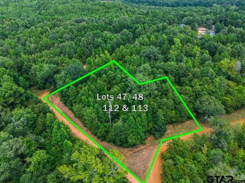 TBD Indian Mound lots 47 48 112 & 113 Hawkins TX 75765