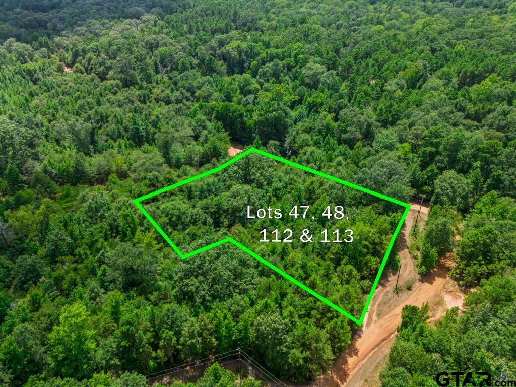 TBD Indian Mound lots 47 48 112 & 113