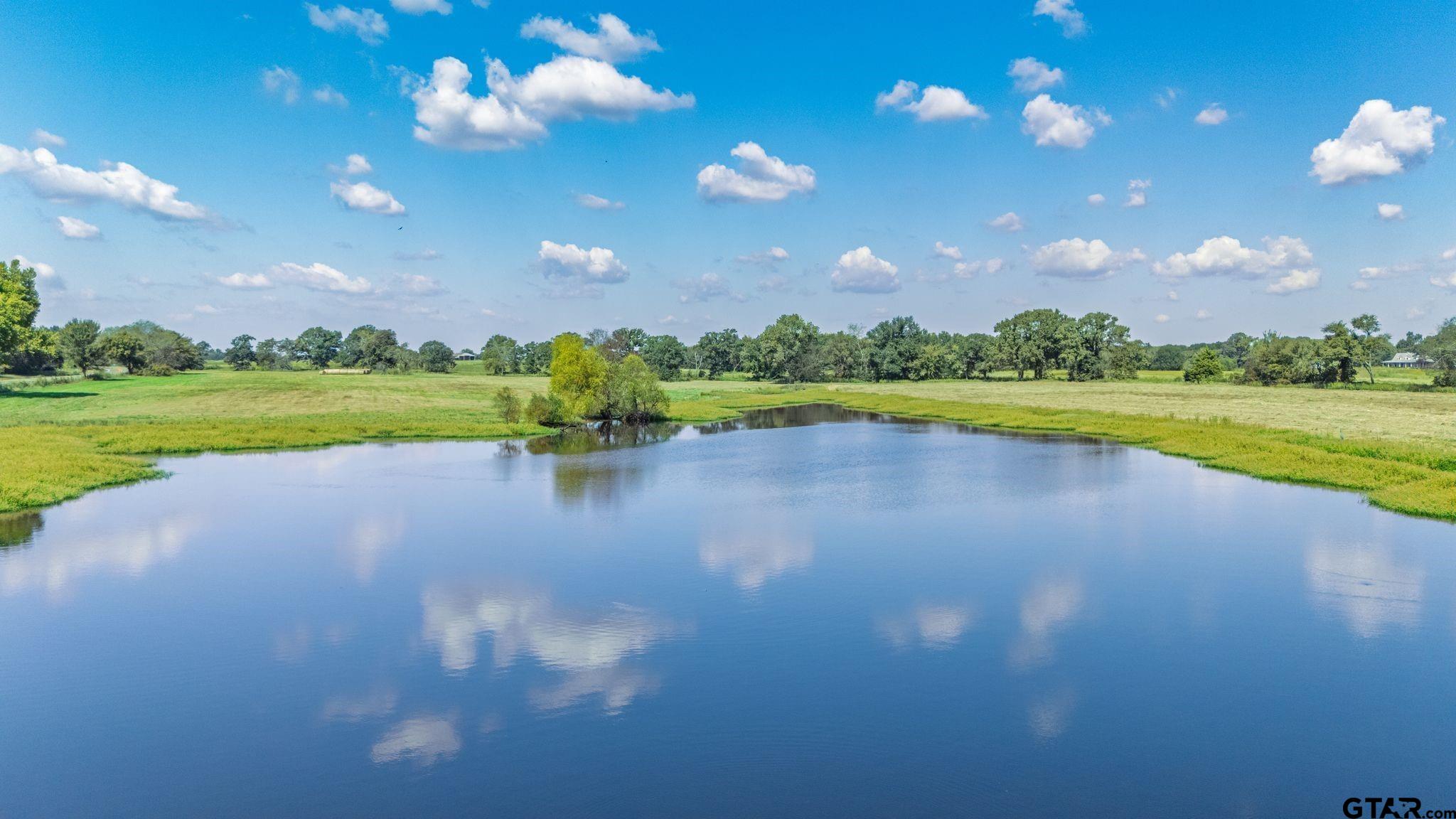 31 Acres Texas Highway 19