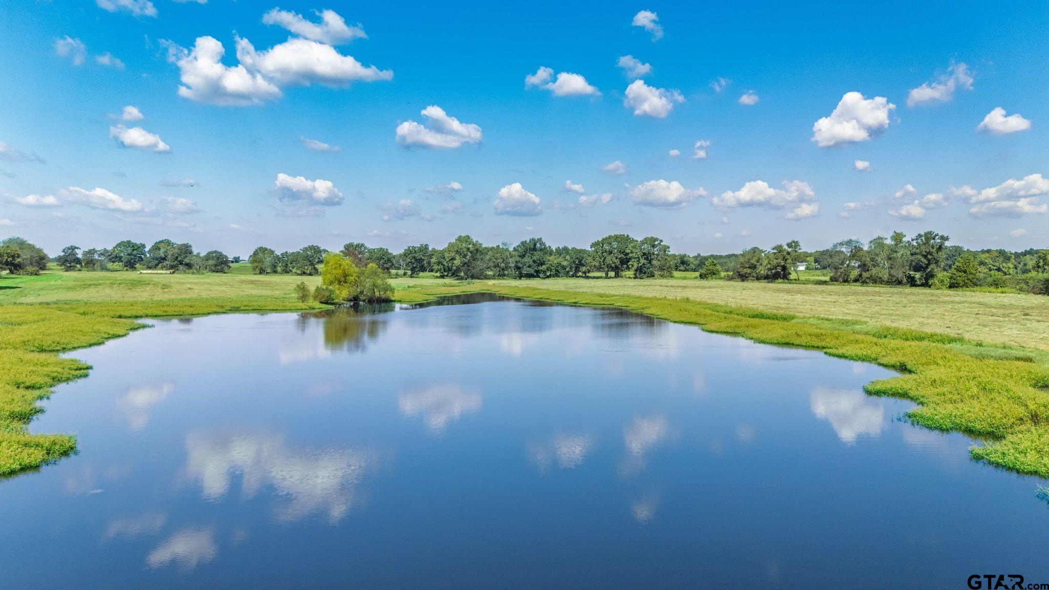 31 Acres Texas Highway 19