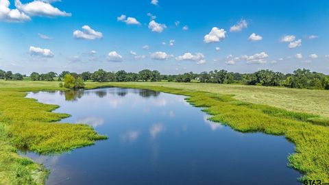 31 Acres Texas Highway 19 Brashear TX 75420