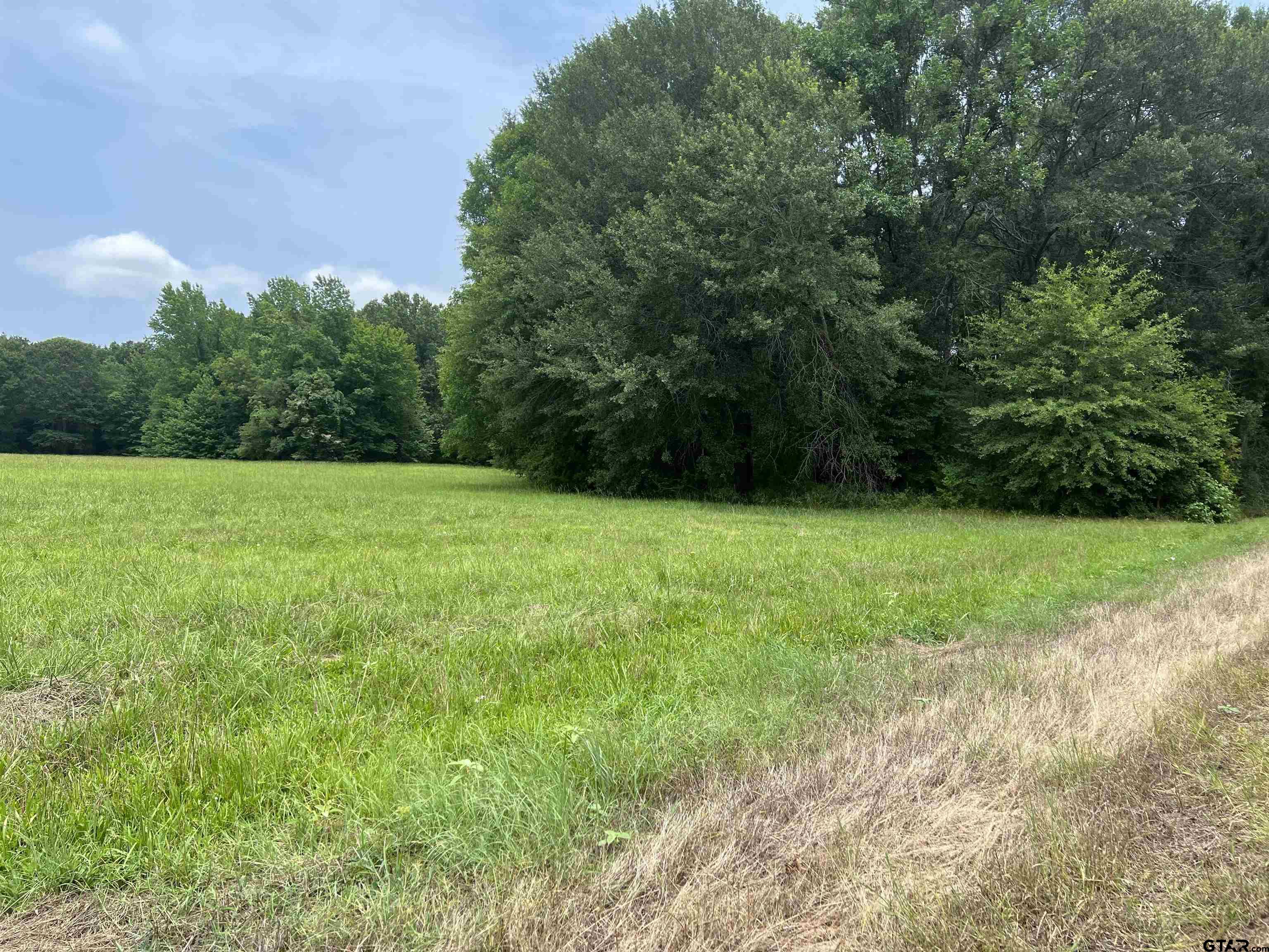 Photo 1 of 4 — TBD CR 4130, Mt Vernon, TX 75457
