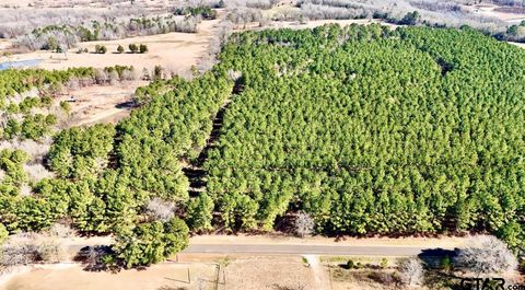 TBD CR 2138 Troup TX 75789