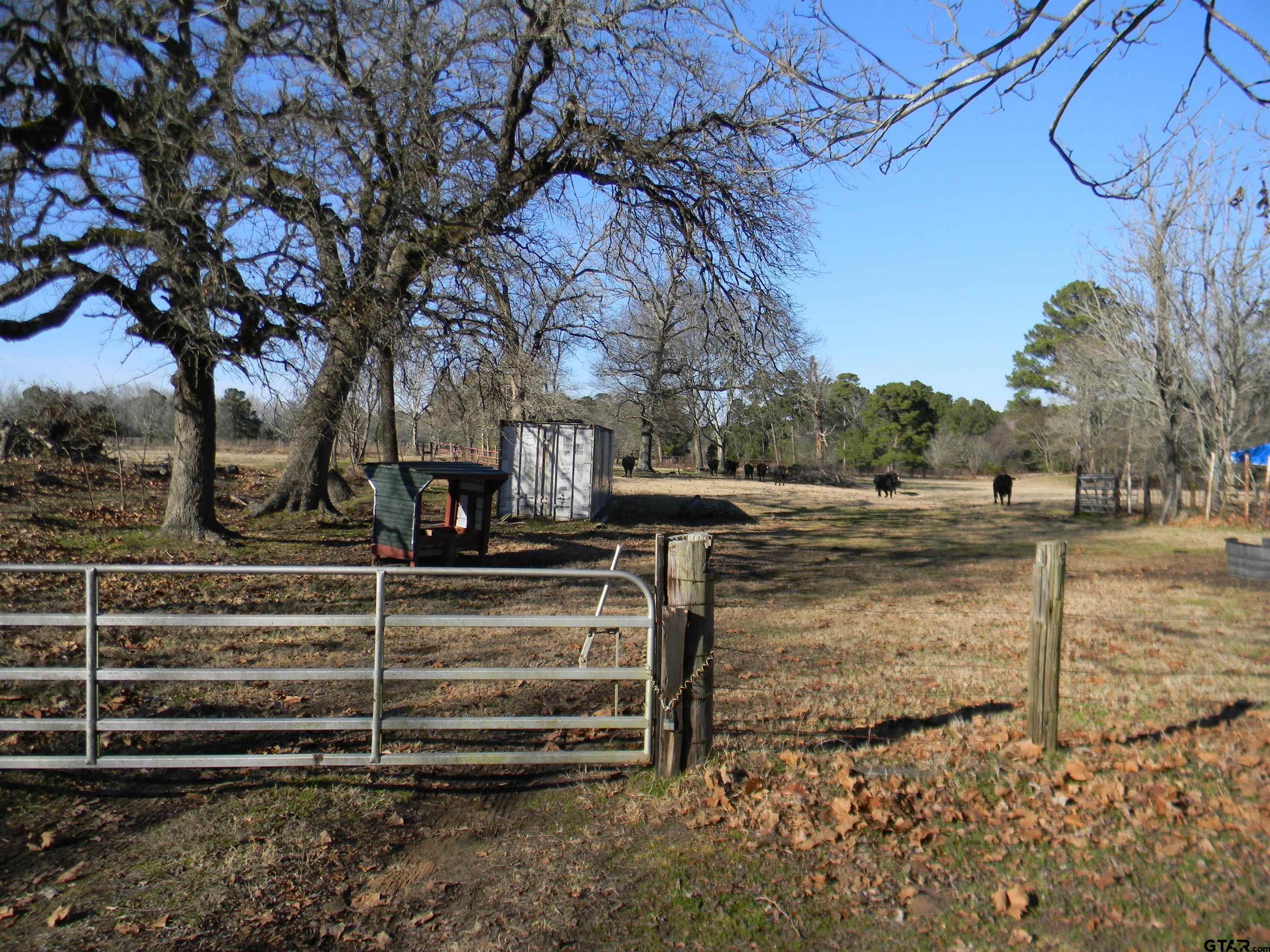 435 FM 2064 52.82ac. W/ Cabin