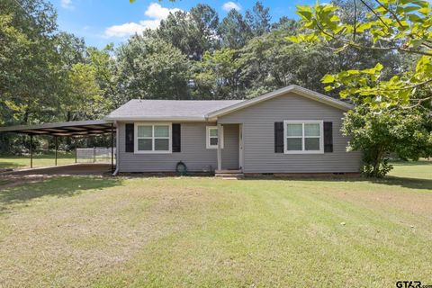 655 Daingerfield St Pittsburg TX 75686