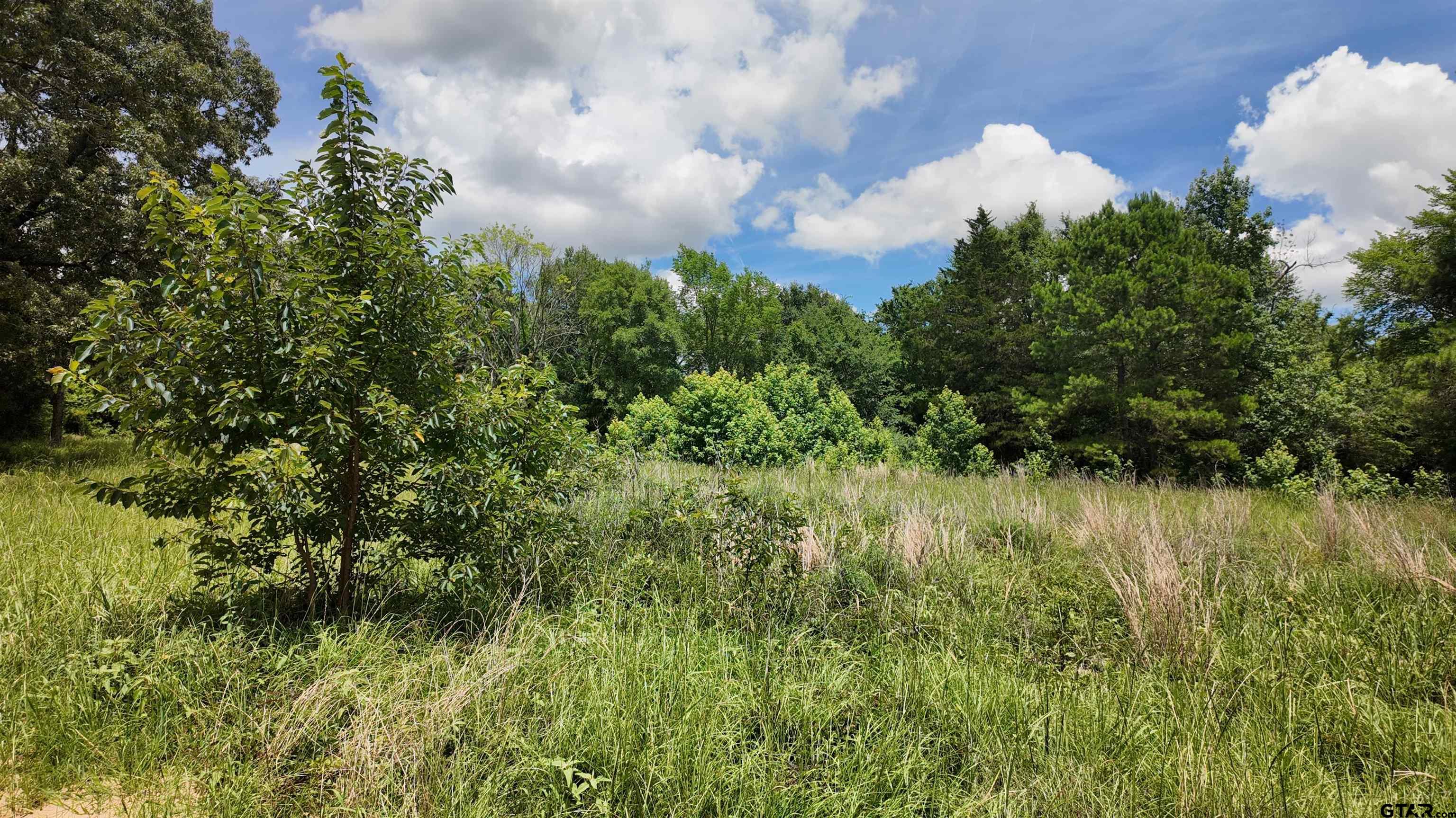 TBD County Road 2325
