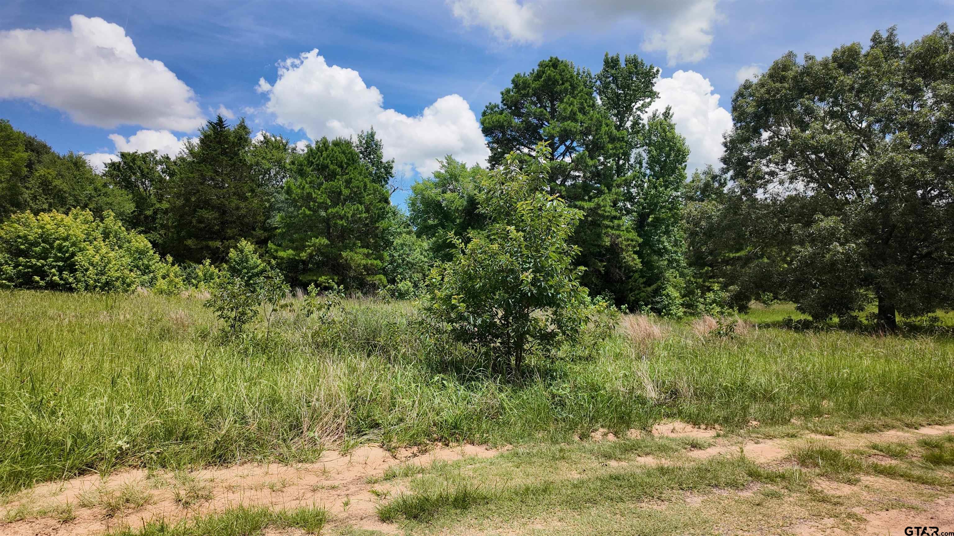 TBD County Road 2325