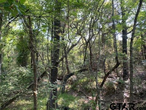 TBD CR 41514 Athens TX 75751