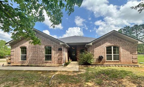 16785 S Lakeview Dr Troup TX 75789