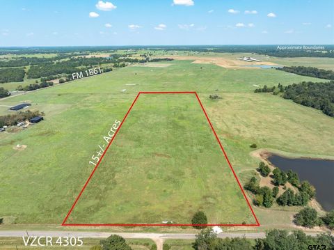 269 VZ County Road 4305 Ben Wheeler TX 75754