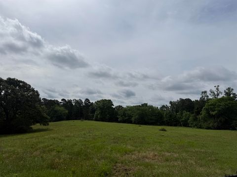 TBD CR 1404 -60.30 acres Jacksonville TX 75766