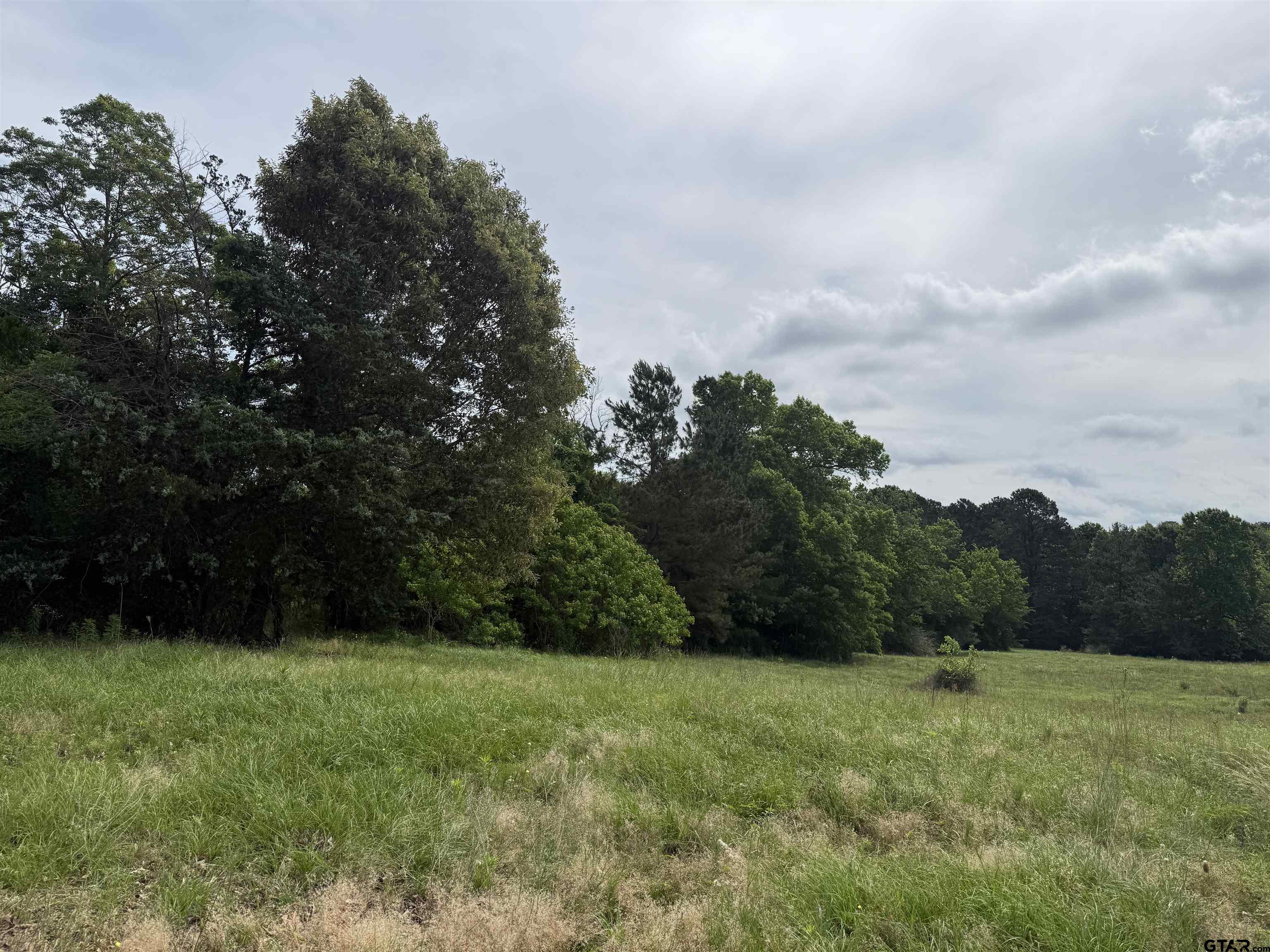 TBD CR 1404 -60.30 acres