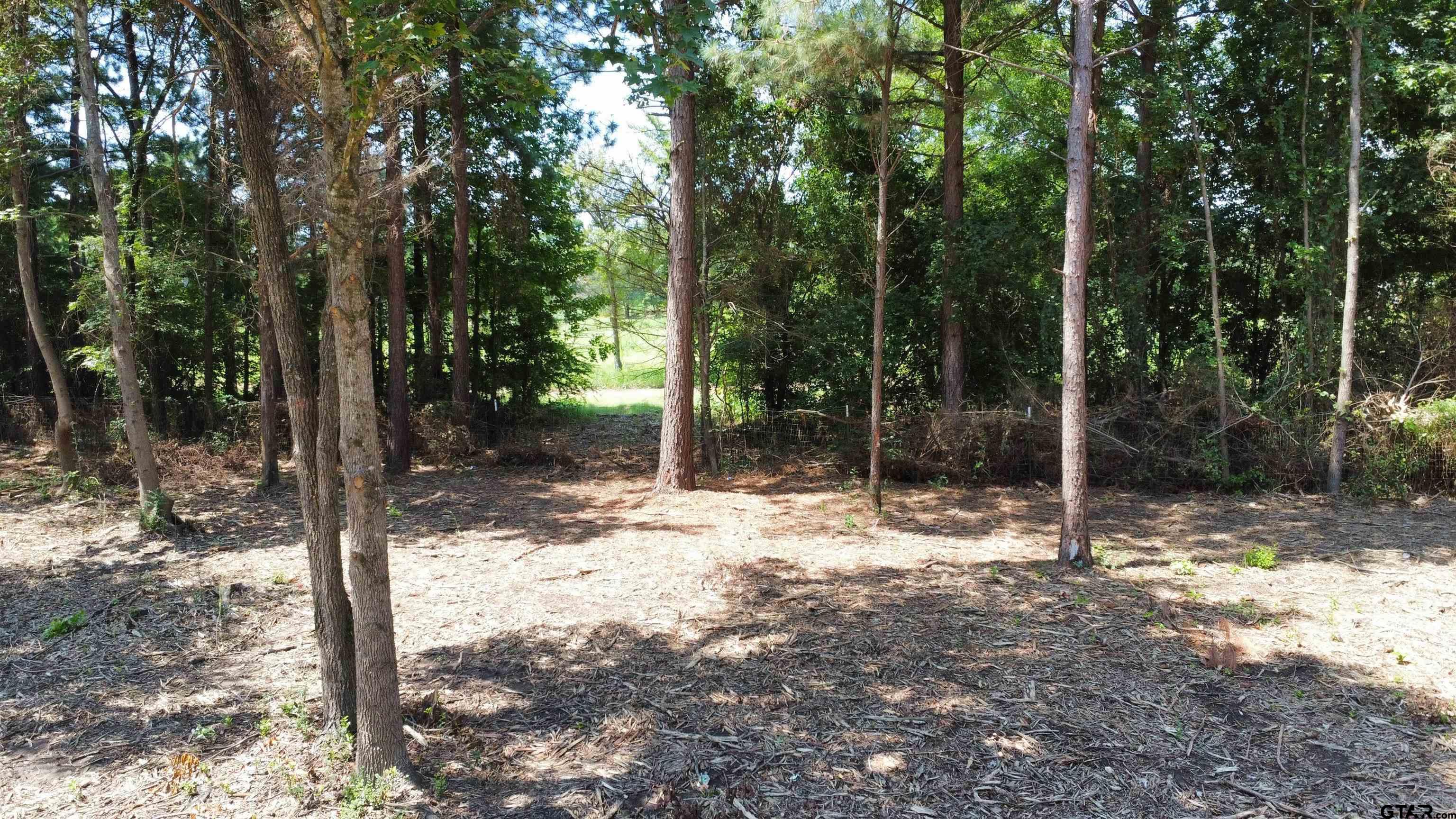 TBD Holtzclaw Dr Lot 41