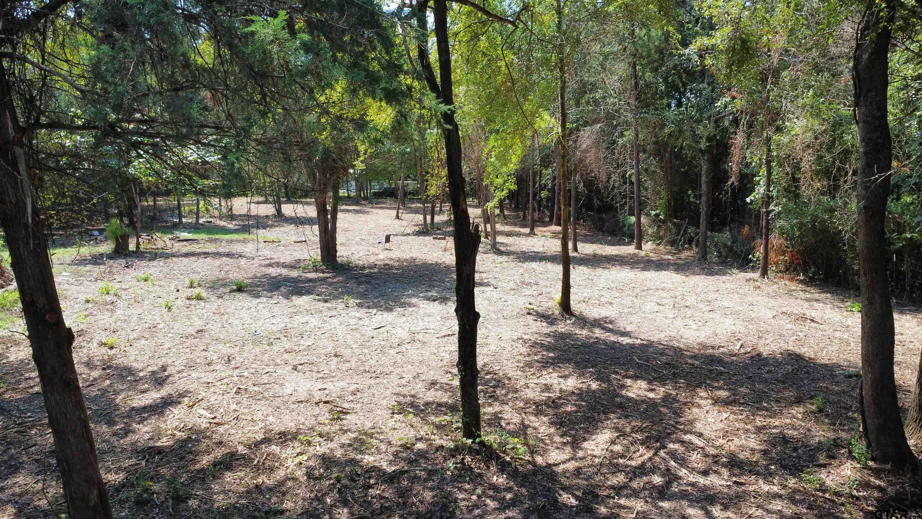 TBD Holtzclaw Dr Lot 41