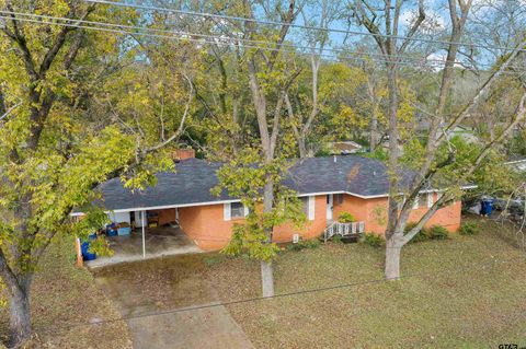 387 Hill Ave Rusk TX 75785