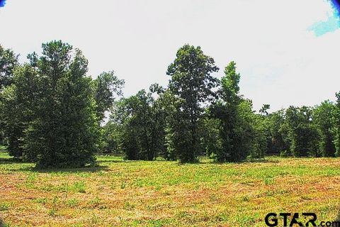 865 Stone Chimney Rd. (Lot 7 CR 3608) Bullard TX 75757