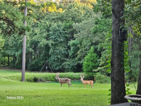 4491 S FM 2869 Hawkins TX 75765